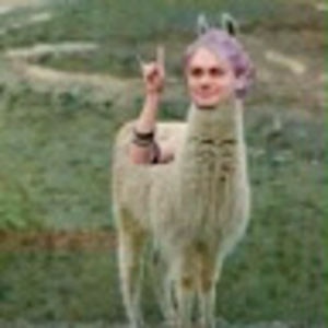 Meet your Posher, Kai